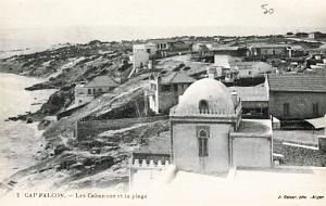 CAP FALCON  (18)